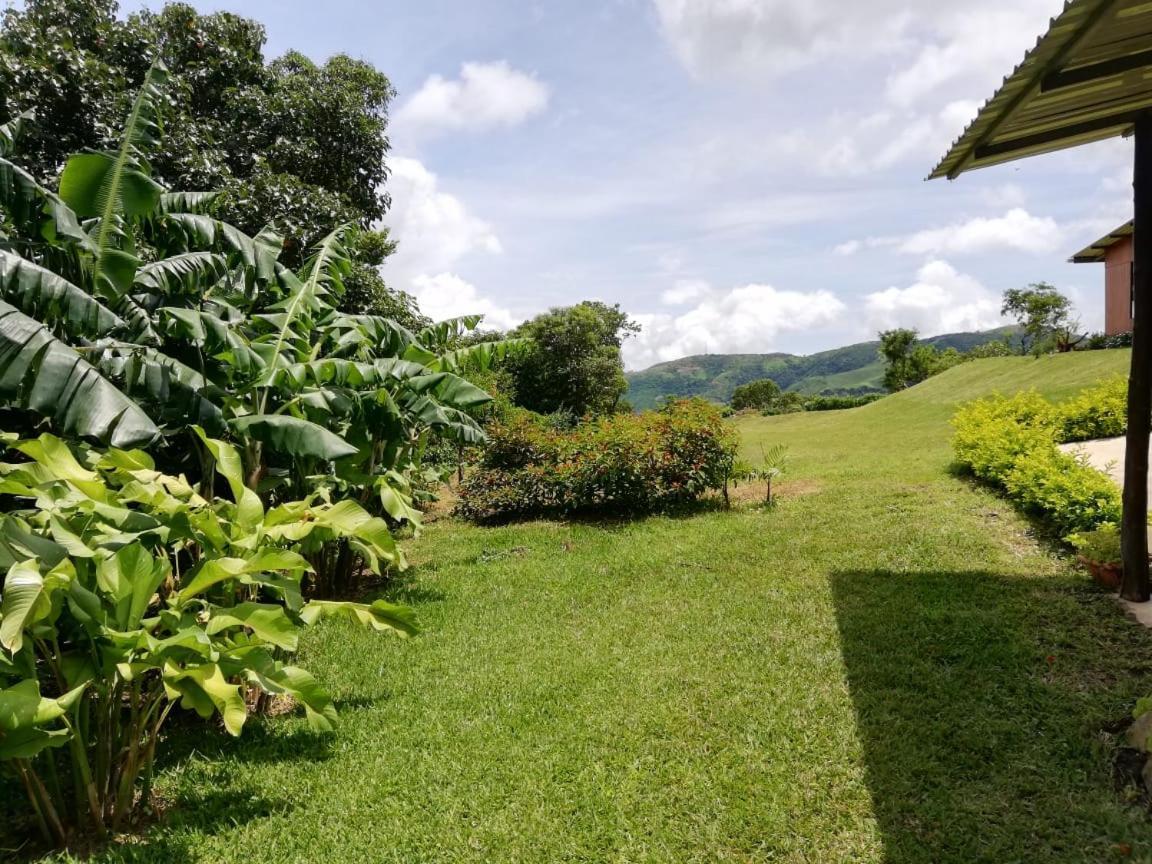 Casitas De Montana Cabuya Hotel Monteverde Kültér fotó