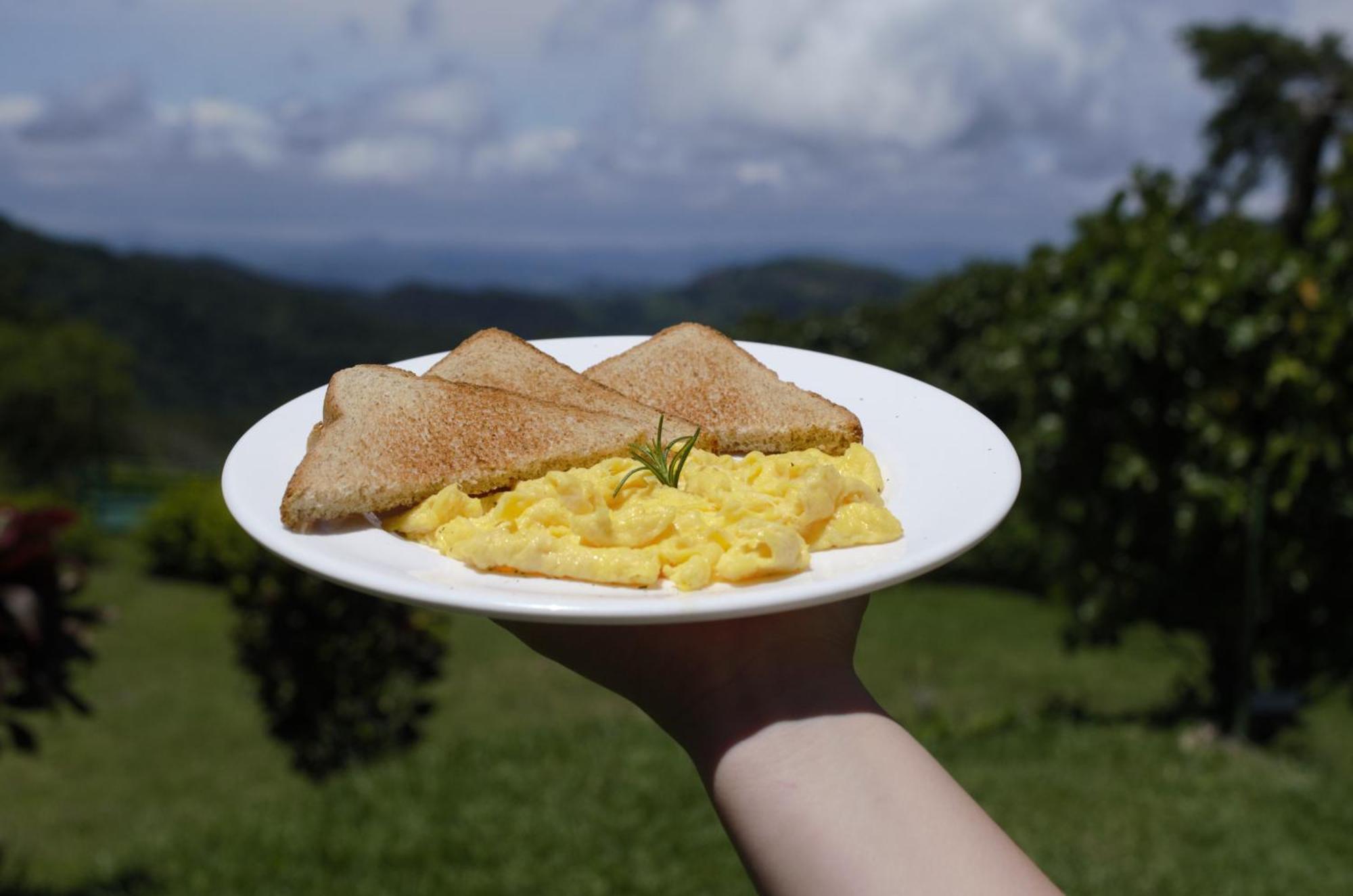 Casitas De Montana Cabuya Hotel Monteverde Kültér fotó