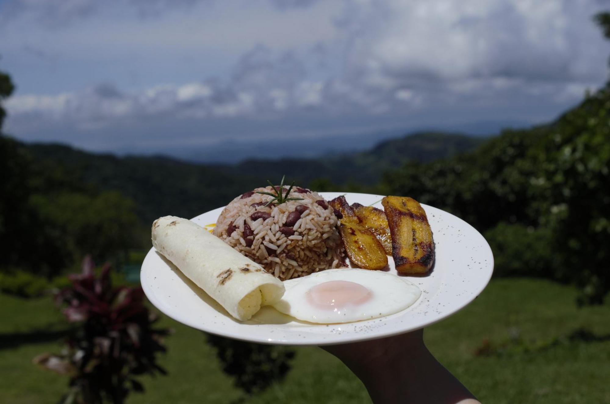 Casitas De Montana Cabuya Hotel Monteverde Kültér fotó